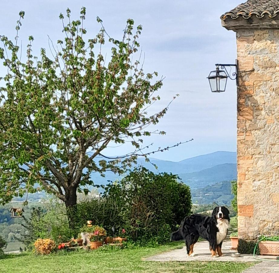 Agriturismo Monterosello Città di Castello Екстериор снимка
